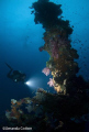   Truk Lagoon Chuuk Micronesia. Diver wreck Lagoon. Amanda Cotton Micronesia  